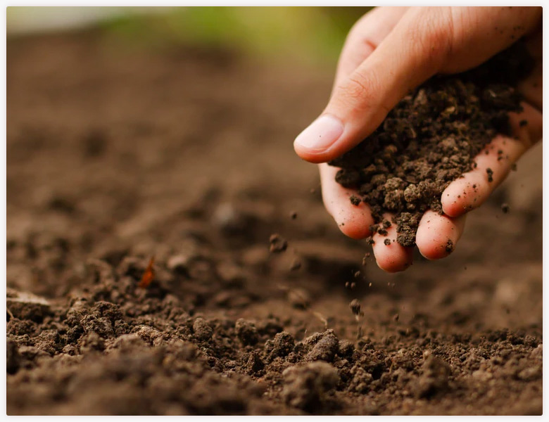 ab ambiental condicionadores de solo